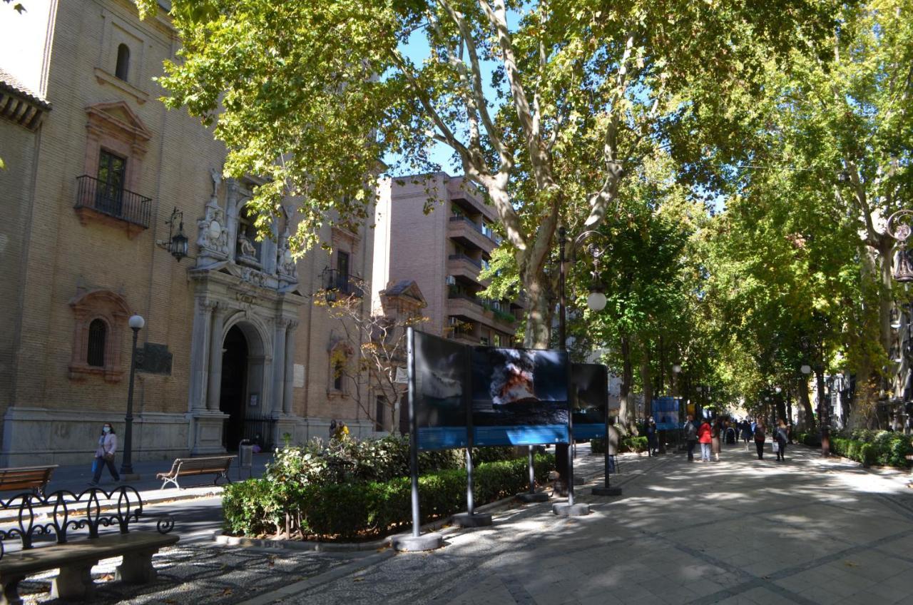 Carmela Suites Apartamento De Dos Dormitorios Granada Dış mekan fotoğraf